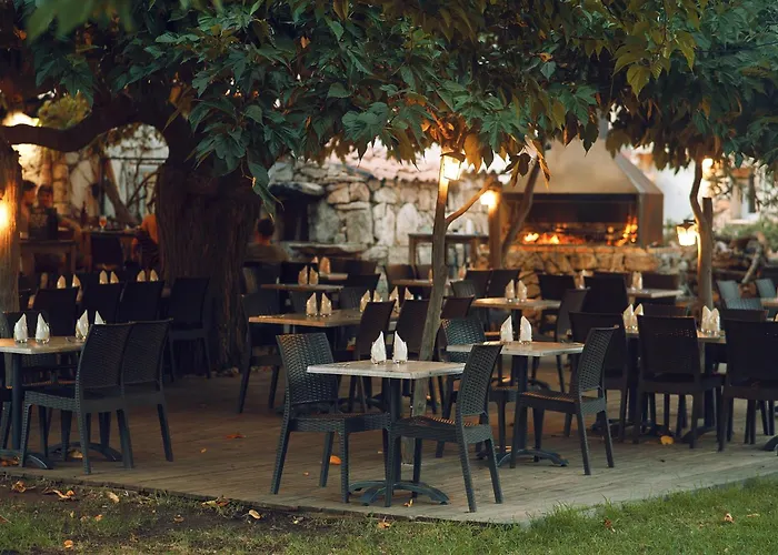 מלון A Machja Olmiccia