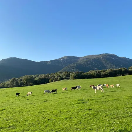 Ξενοδοχείο A Machja *